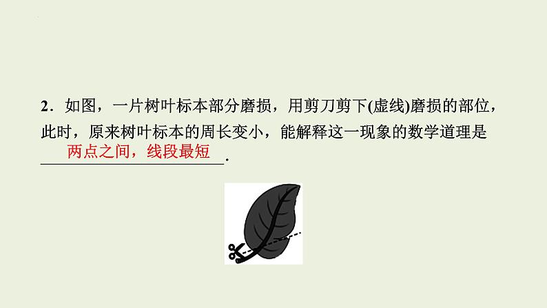 中考数学一轮复习 课件 第16讲 平行线与相交线第5页