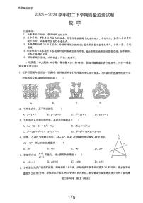 四川省 成都市锦江区2023—2024学年下学期八年级期中考试数学试题