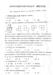 广东省惠州市惠阳区2024年4月初中学业水平一模数学试卷