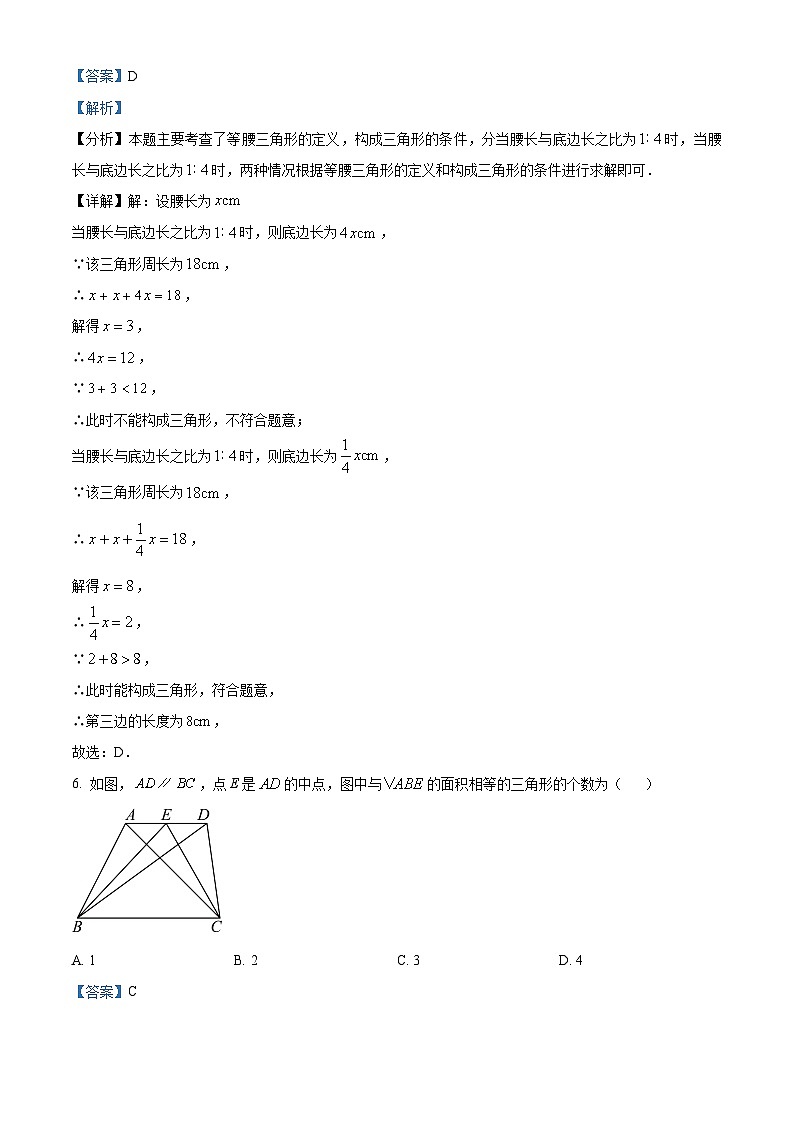 上海市普陀区2023-2024学年七年级下学期期中数学试题（原卷版+解析版）03