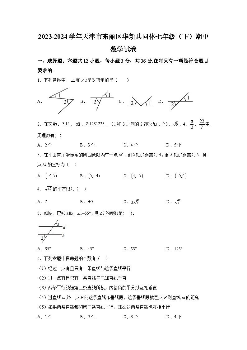 天津市东丽区华新共同体2023-2024学年七年级下学期期中数学试题（含解析）01