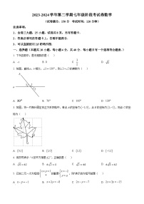 福建省厦门市外国语学校2023-2024学年七年级下学期期中数学试题（原卷版+解析版）