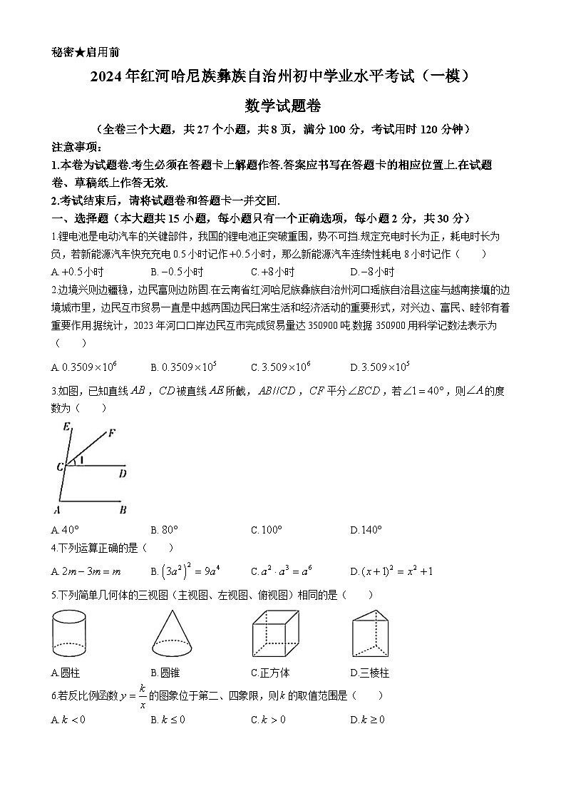 2024年云南省红河州初中学业水平考试数学模拟试卷（一）01