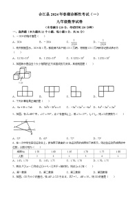 2024年四川省泸州市合江县中考一模数学试题(无答案)