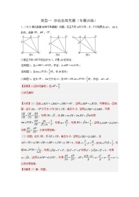 题型11 综合探究题 类型1 非动态探究题（专题训练）-2024年中考数学二轮题型突破（全国通用）