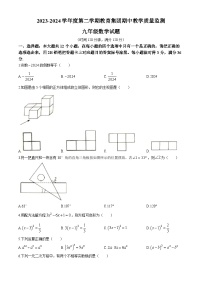 2024年山东省滨州市滨城区高新八校联考九年级中考一模数学试题