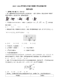 河南省漯河市召陵区2023-2024学年七年级下学期期中数学试题