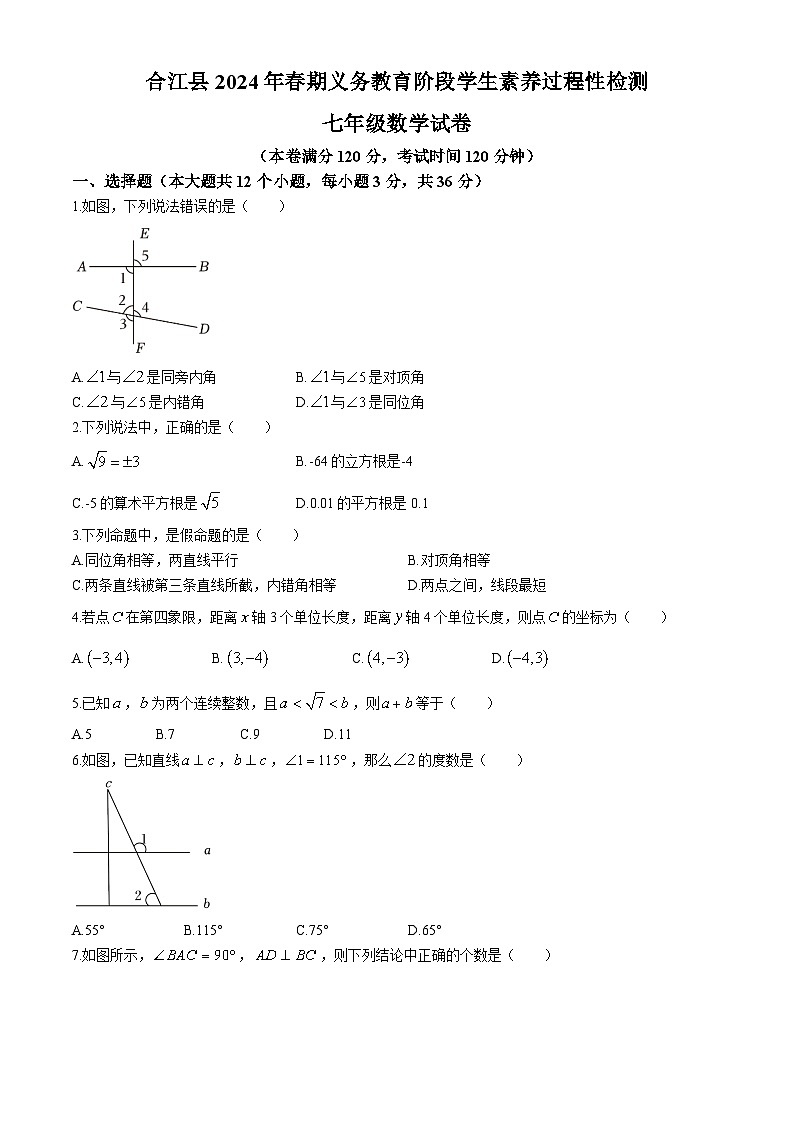 四川省泸州市合江县2023-2024学年七年级下学期期中考试数学试题第1页