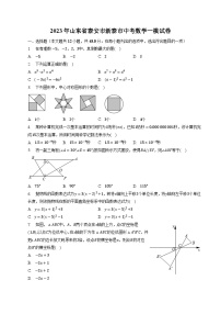 山东省泰安市新泰市（五四制）2023届九年级中考一模数学试卷(含解析)