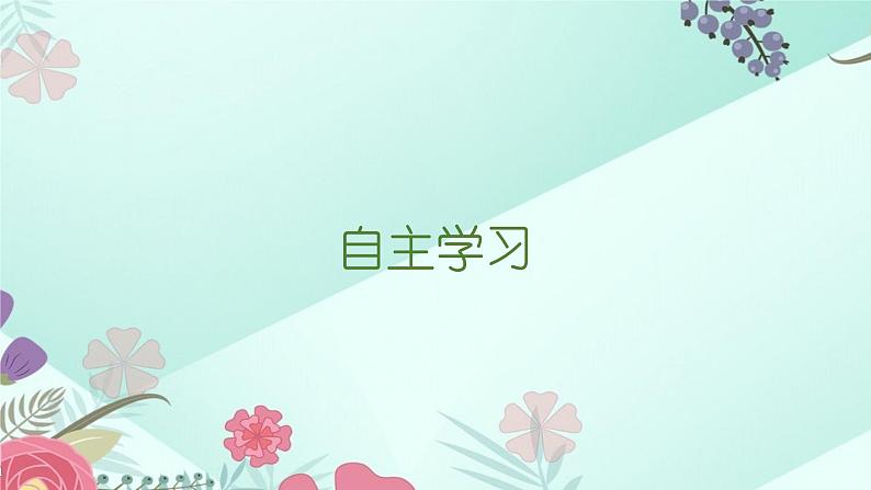 6.3+实数第1课时+实数的概念和性质+课件++2023—2024学年人教版数学七年级下册+第3页