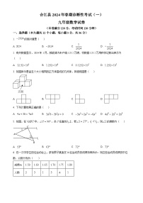 2024年四川省泸州市合江县中考一模数学试题（原卷版+解析版）