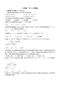 福建省泉州市北峰中学2023-2024学年八年级下学期2月月考数学试题(无答案)