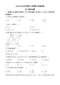 山东省济宁市任城区2023-2024学年八年级下学期期中数学试题（原卷版+解析版）