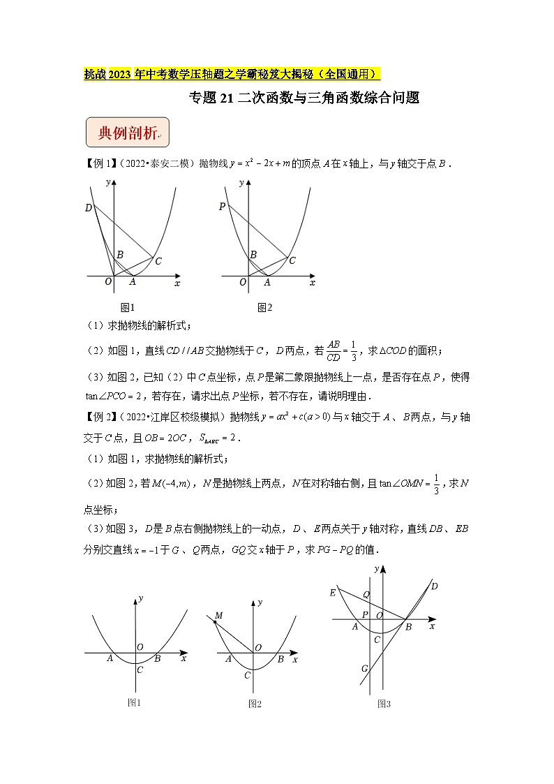 专题21二次函数与三角函数综合问题-（学生版）-拔尖2023中考数学压轴题突破（全国通用）第1页