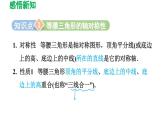 5.3 简单的轴对称图形 北师大版数学七年级下册导学课件