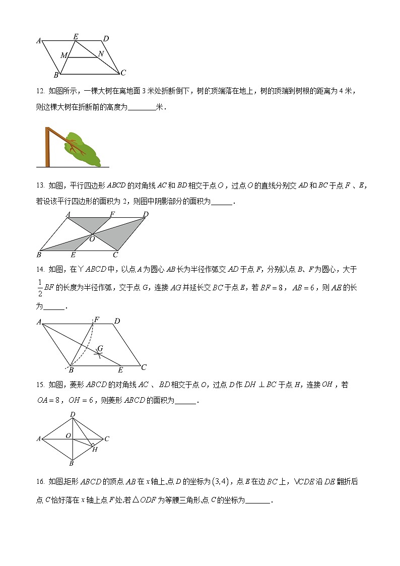 北京市海淀外国语藤飞学校2023-2024学年八年级下学期期中数学试题（原卷版）第3页