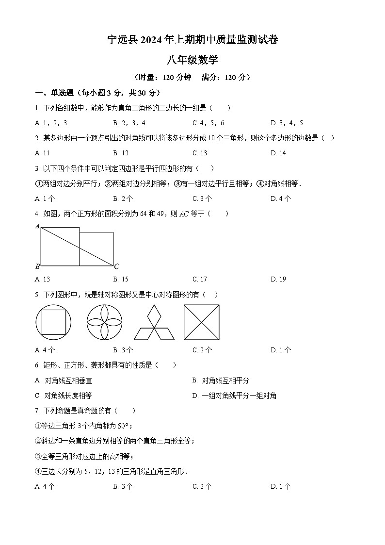 湖南省永州市宁远县2023-2024学年八年级下学期期中数学试题（原卷版）第1页