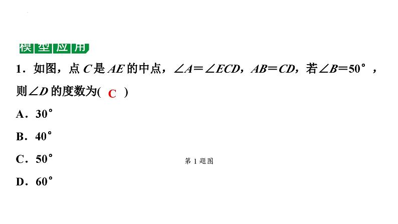 2024年海南省中考数学二轮复习 微专题 七大常考全等模型（课件）02