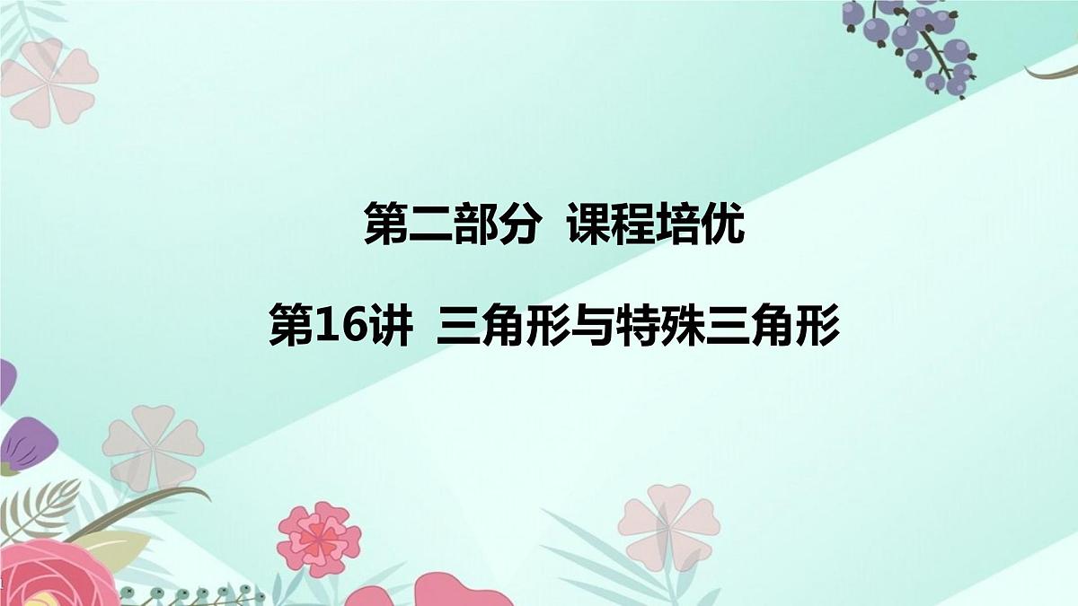 2024年中考数学专题课件  第16讲 三角形与特殊三角形第2页