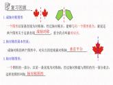 2.4轴对称的基本性质课件  青岛版数学八年级上册