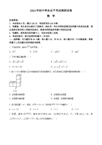 2024年内蒙古自治区乌兰察布市集宁区九年级中考一模统考数学试题（原卷版+解析版）