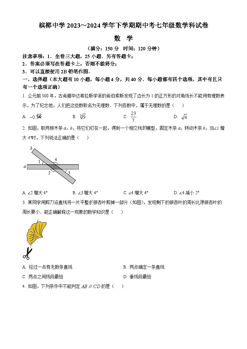 福建省厦门市槟榔中学2023-2024学年七年级下学期期中数学试题（原卷版）第1页