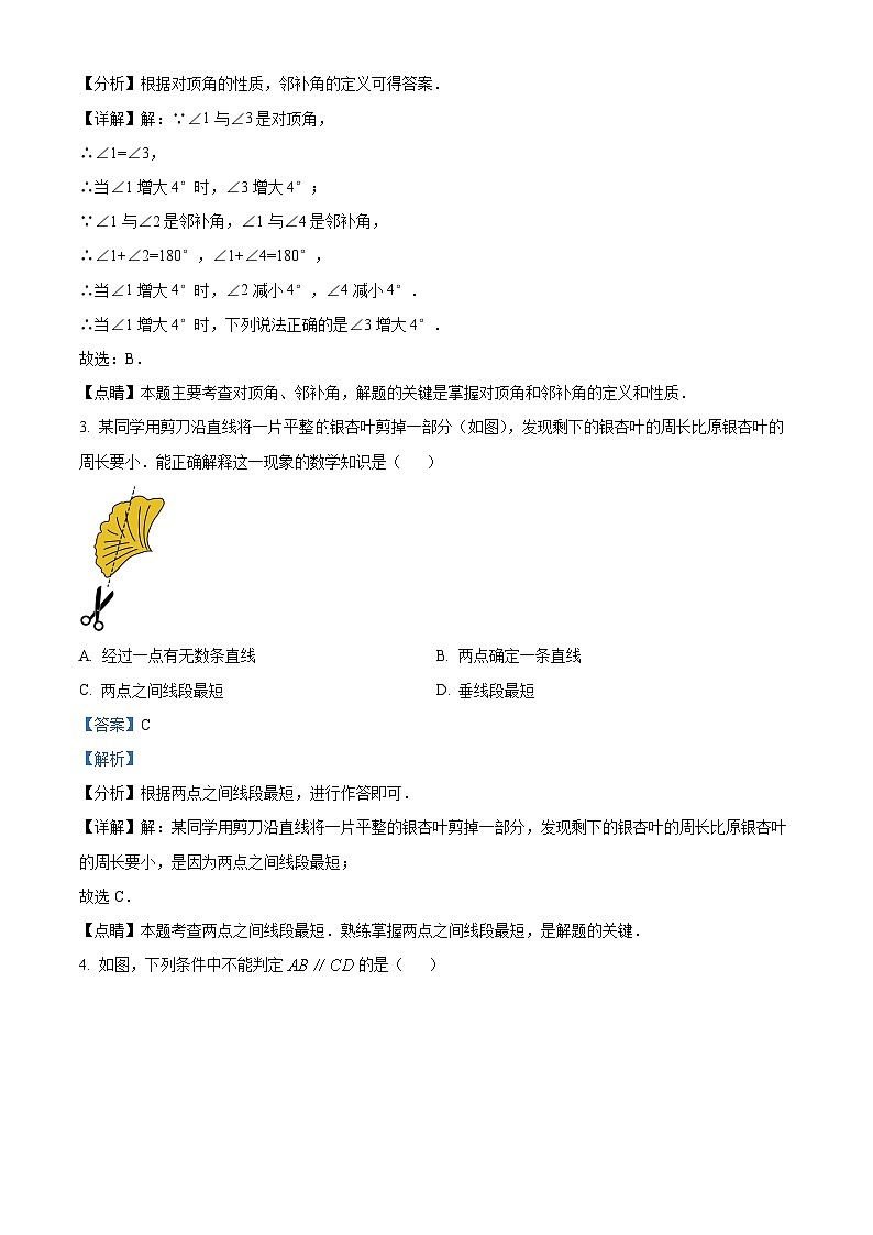 福建省厦门市槟榔中学2023-2024学年七年级下学期期中数学试题（解析版）第2页