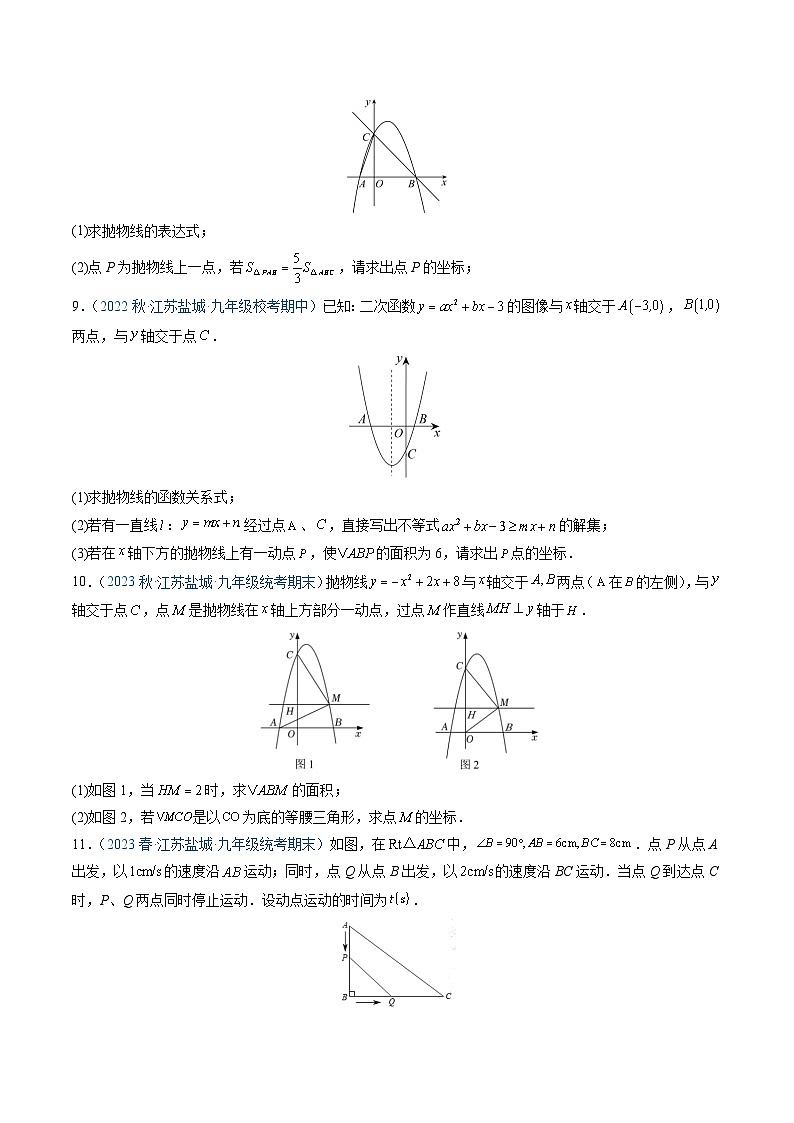 专题08 二次函数与图形面积的问题（原卷版）第3页