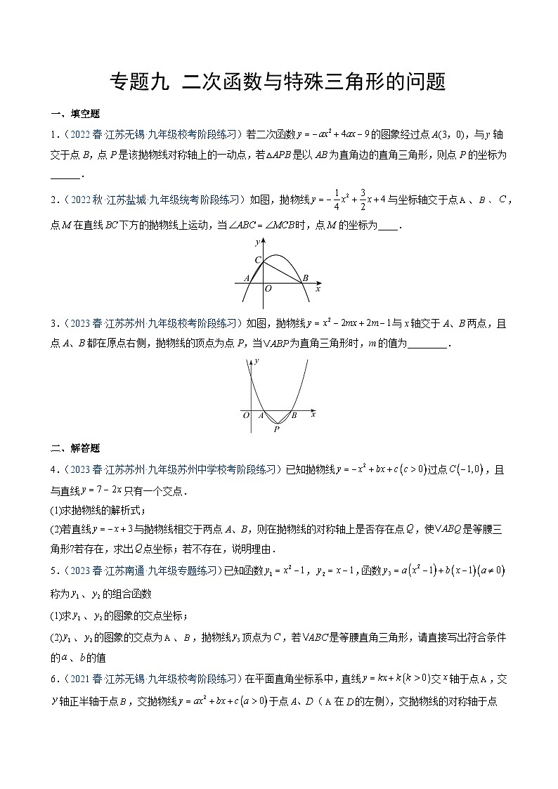 专题九 二次函数与特殊三角形的问题（原卷版）第1页
