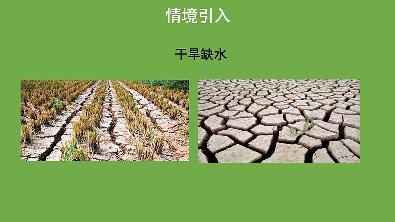 10.3《课题学习-从数据谈节水》人教版七年级下册教学课件第5页