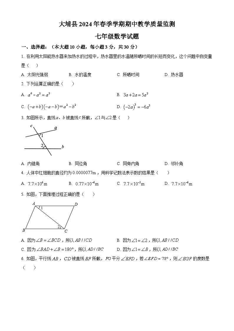 广东省梅州市大埔县2023-2024学年七年级下学期期中数学试题（原卷版+解析版）01