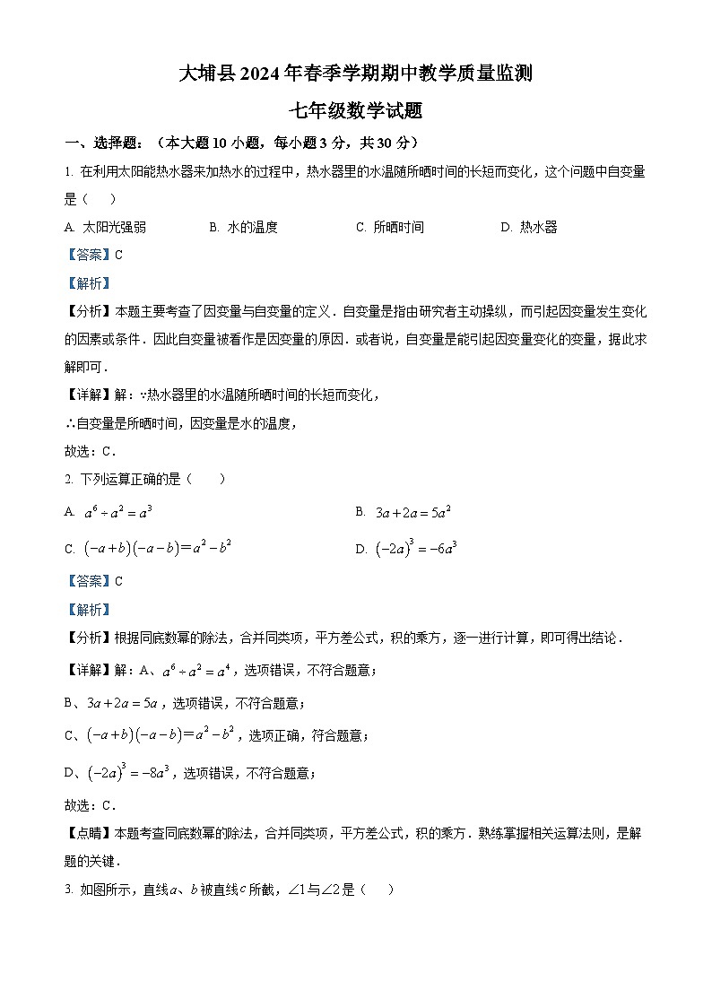 广东省梅州市大埔县2023-2024学年七年级下学期期中数学试题（原卷版+解析版）01