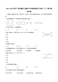 2023-2024学年广东省肇庆市德庆中学教育集团七年级（下）期中数学试卷（含解析）