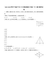 2023-2024学年广东省广州十六中教育集团八年级(下)期中数学试卷(含解析)