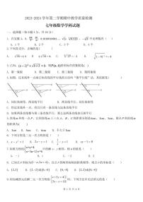 山东省德州市宁津县大庄中学2023-2024学年七年级下学期期中考试数学试题