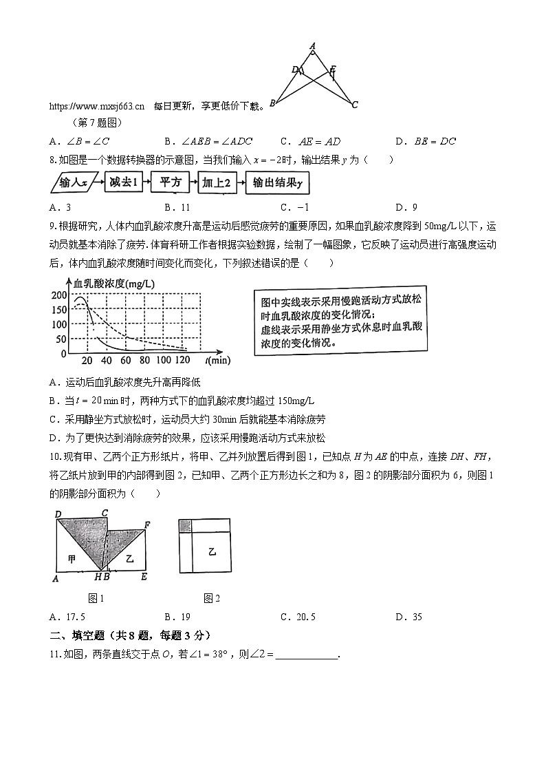 陕西省西安市陕西师范大学附属中学渭北中学2023-2024学年七年级下学期期中数学试题(无答案)02