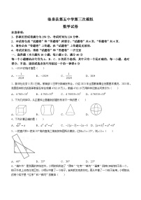 2024年安徽省阜阳市临泉县第五中学中考三模数学试题