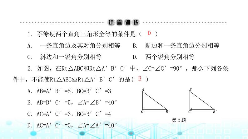 北师大版八年级数学下册第一章三角形的证明2直角三角形第二课时课件第3页