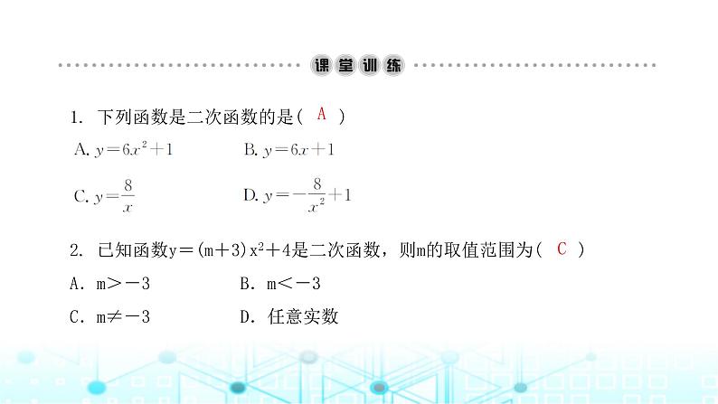 北师大版九年级数学下册第二章1二次函数课件03