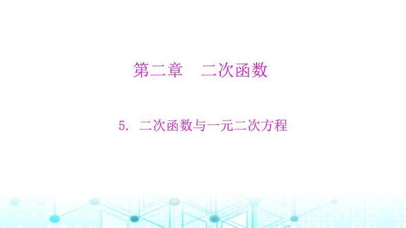 北师大版九年级数学下册第二章5二次函数与一元二次方程课件01