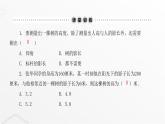 北师大版九年级数学上册第四章图形的相似利用相似三角形测高课件