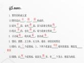 北师大版七年级数学上册第一章丰富的图形世界第二课生活中的立体图形课件