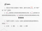 北师大版七年级数学上册第一章丰富的图形世界从三个方向看物体的形状课件