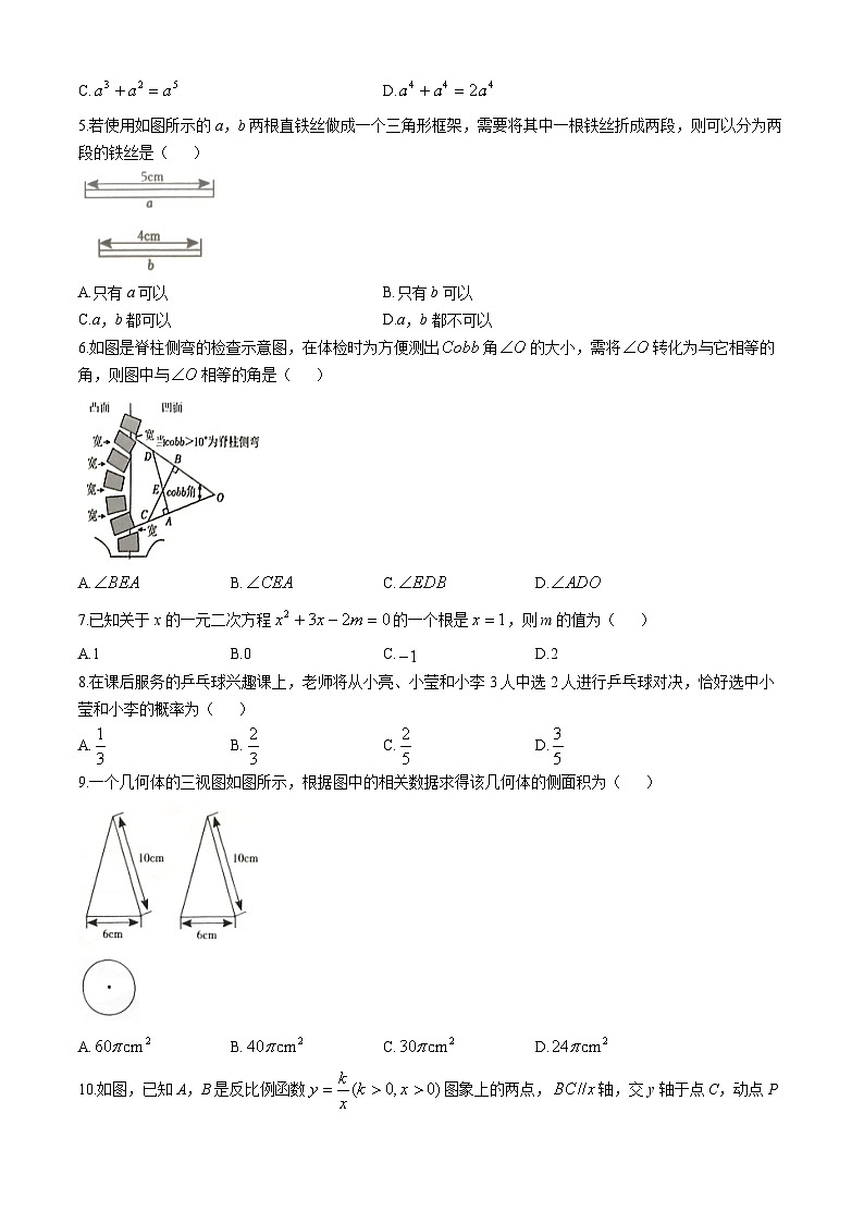2024年广东省揭阳市普宁市中考一模数学试题02