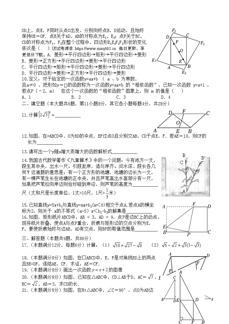 福建省厦门市湖滨中学2023-2024学年八年级下学期期中考试数学试题02