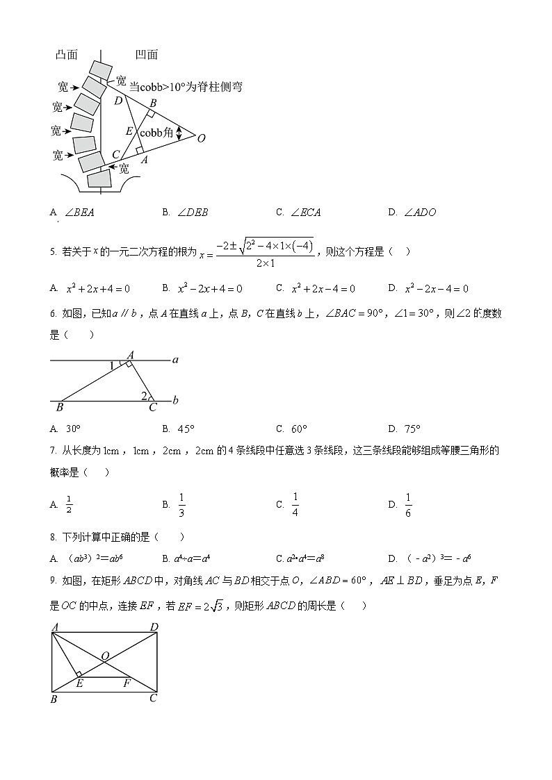 2024年广东省汕头市潮南区潮南区司马初中学校中考一模数学试题（原卷版）第2页