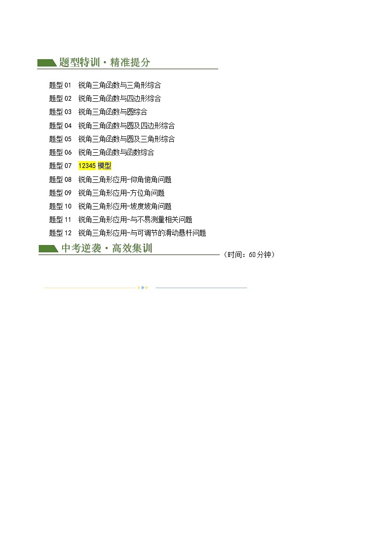 专题08 锐角三角形及其应用（12题型+限时检测）-2024年中考数学二轮复习讲义（全国通用）02