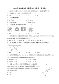 山东省泰安市新泰市（五四制）2023届九年级中考一模数学试卷（含解析）