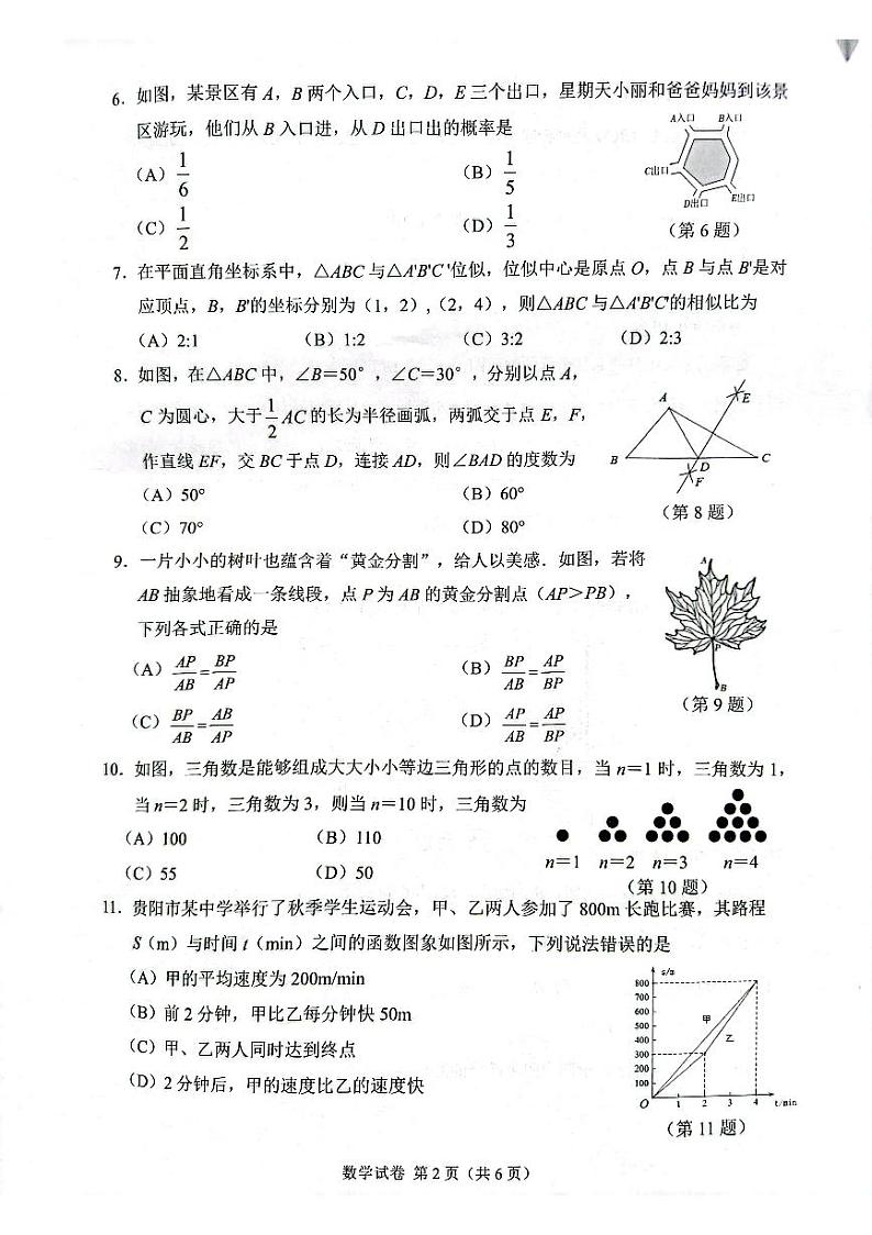 2024年贵州省贵阳市南明区九年级中考一模数学试题02