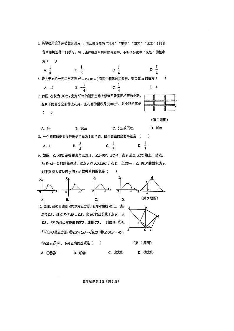 2024年山东省东营市东营区中考二模数学试题第2页